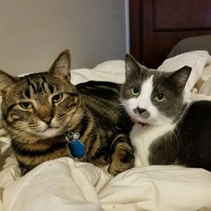 Meet your Posher, Elisa